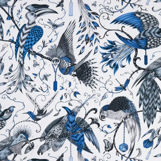Animalia– Audubon