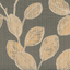 Autumn-0016094_virtue-504