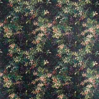 Exotica 2 - Congo