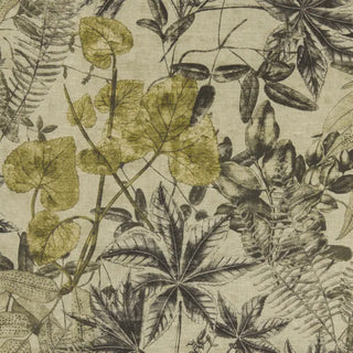 Exotica – Madagascar