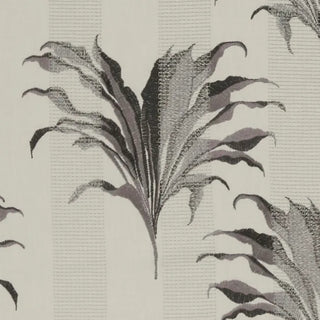 Exotica – Palma