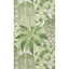 Fern_7021_CS