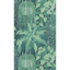 Fern_7022_CS_3