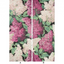 Lilac_Grandiflora_15045_CS_3