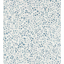 Maidenhair_6019_CS