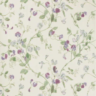 Botanical Botanica – Sweet Pea