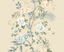 chaehwa-branch-specialty-CH31507-Sugar