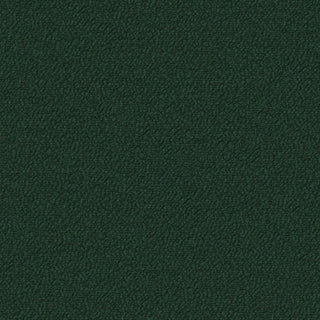 Solid dark green color swatch