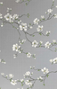 moonlace-magnolia-specialty-CH31408-Foil