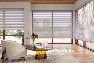 Hunter Douglas Window Treatment Designer Roller shades