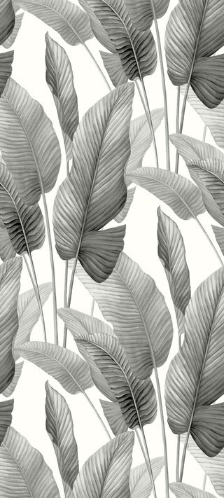 Bali Tropical