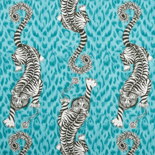 Animalia