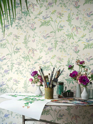 Cole & Son - Selection of Hummingbirds Collection, Wallcovering and Fabrics