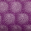 0012681_splendor-722-magenta