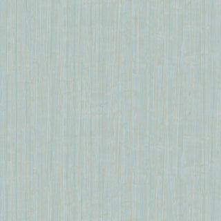 Vivid - 10027