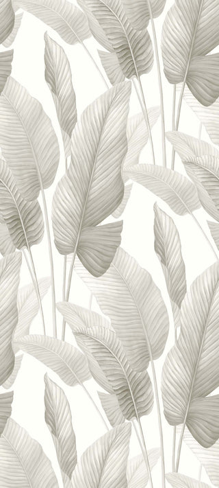 Crown Bali Tropical Mantra wallpaper featuring a crisp tropical banana leaf design. Detailed watercolor banana leaves in shades of soft grey vertically against a clean white background, creating a serene, airy feel.