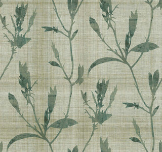 Crown Bali Tropical Banyu wallpaper featuring a botanical silhouette pattern. Delicate, watercolor-style floral branches and stems in green overlay a subtle linen-textured pale grass background, offering a soft, modern aesthetic.