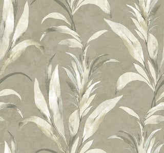 Crown Bali Tropical Padma wallpaper featuring a dramatic botanical design. Tall, stylized tropical leafy foliage in white and grey tones stands gracefully against a textured muted beige background, creating a moody, sophisticated accent wall.