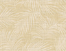 AG60905-Jiva-wheat
