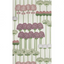 Allium_12034_CS_3