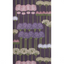 Allium_12036_CS
