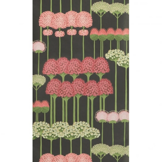 Botanical Botanica – Allium