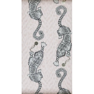 Animalia – Tigris