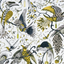 Animalia_Audubon_F1108_02_CAC