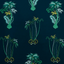 Animalia_Jungle-Palms_F1110_03_CAC