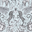 Animalia_Kruger_F1111_01_CAC