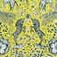 Animalia_Kruger_F1111_03_CAC