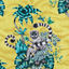 Animalia_Lemur_F1112_02_CAC