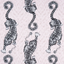 Animalia_Tigris_F1114_03_CAC