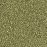 Apple-Green-Gold-9062_73WS121