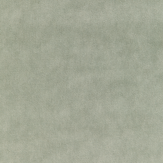 Kravet Basic