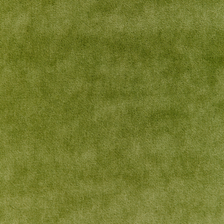 Kravet Basic