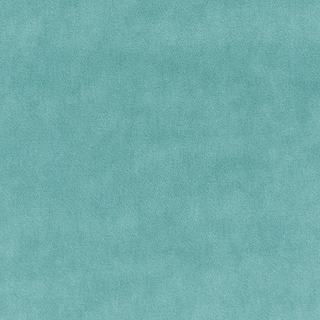 Kravet Basic