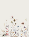 Beige-Cream-63450