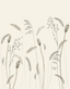 Beige-Cream-Black-Anthracite-63460