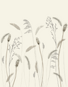 Beige-Cream-Black-Anthracite-63460