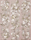 Beige-Cream-Brown-Rose-63399