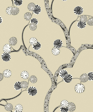 Allegra- WH41005