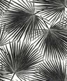 Black-Inky-WH41500