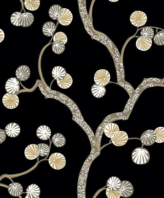 Allegra- WH41005