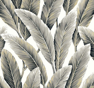 Savannah Grass -Foliage