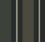 Black-Tan-2025-04-08-120804-SR21306