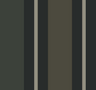 Black-Tan-2025-04-08-120804-SR21306