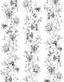 Black-White-63455