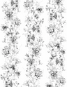 Black-White-63455