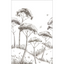 Blanc-Noir-Pinea-143895